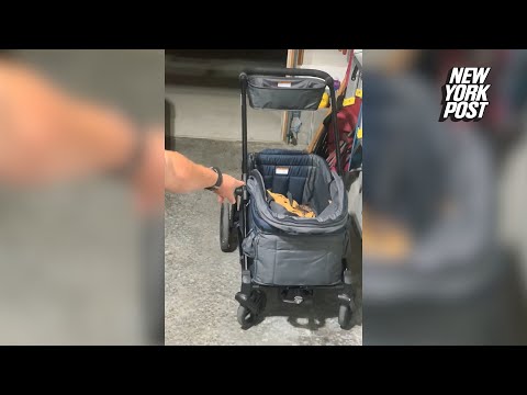 Wild video show couple rattled by venomous snake nesting in baby’s stroller