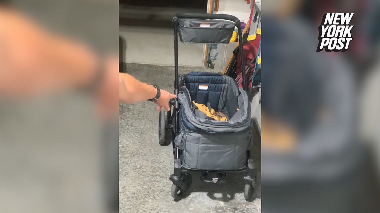 Wild video show couple rattled by venomous snake nesting in baby’s stroller