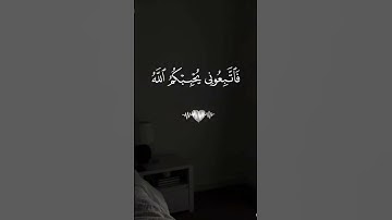 أحترم القران #المسجد_الحرام #اكسبلور #المصحف #تلاوة_هادئة #لايك #الرحمن #راحة_نفسية