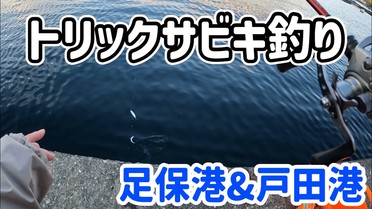 【遠征最終日】人気堤防の足保港&戸田港 トリックサビキ釣りでアジ釣り