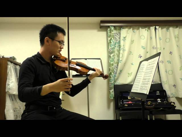 2nd violin＞Sibelius Violin Concerto in D minor op 47 1 mov - YouTube