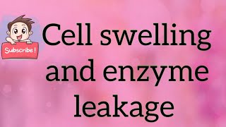 Cell swelling and enzyme leakage