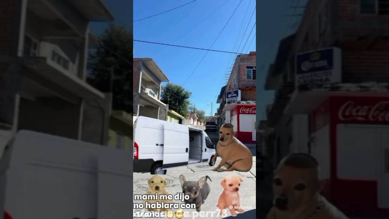 14 de mayo de 2026