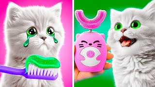 ГАДЖЕТЫ И УДИВИТЕЛЬНЫЕ ИГРУШКИ ДЛЯ КОШЕК 🪥 Творческие поделки для любителей домашних животных