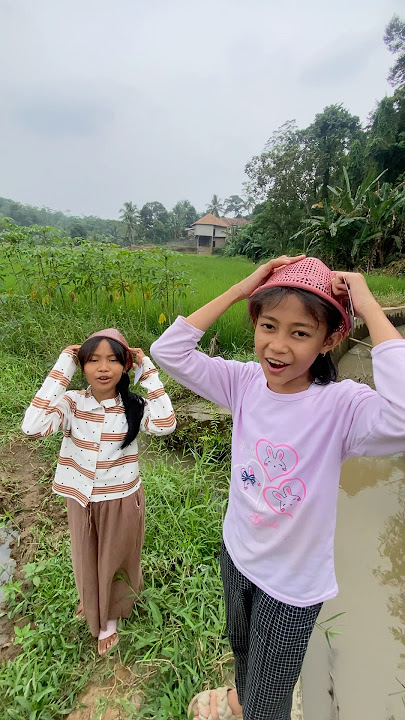 Nyari apah di sawah#trending