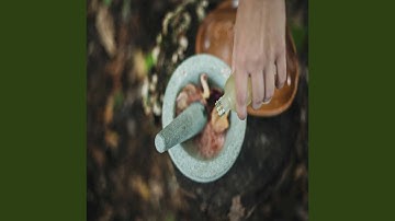 Pulsating Moods for Balance at Morning