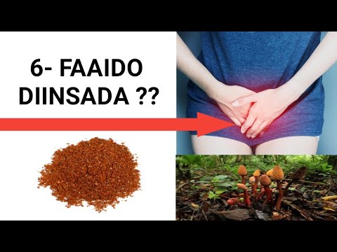 FAAIDADA DIINSADA 6 FAAIDO Oo Muhiim Ah Oo Laga Helo BY DR TIMAJILAC