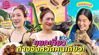 แยกเที่ยวต่างจังหวัดคนเดียว! EP. 2 | เชียงใหม่ ขอนแก่น สุพรรณบุรี [GoyNattyDream] screenshot 4