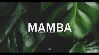 Tropical Dancehall Instrumental - "Mamba" | Afrobeat Instrumental 2020