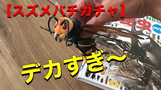 昆虫図鑑からオオスズメバチを取り出してみた