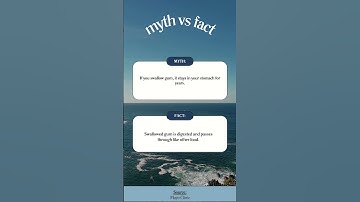 MythBusters Central: Unveiling Truths Behind Common Myths #shorts #primary #elementary #science