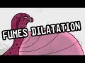 Fumes Dilatation