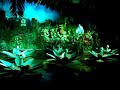 Indische waterlelies