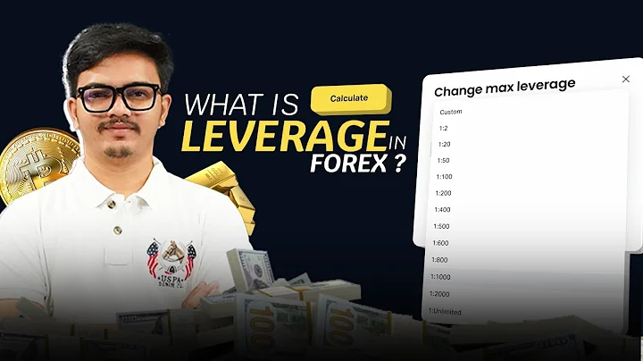 Forex Leverage for Beginners Explained (lot sizes and pips)