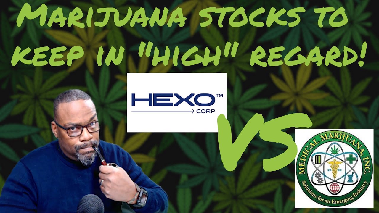 mjna  2022 New  HEXO Corp VS MJNA Cổ phiếu Penny Cần sa Y tế | VectorVest