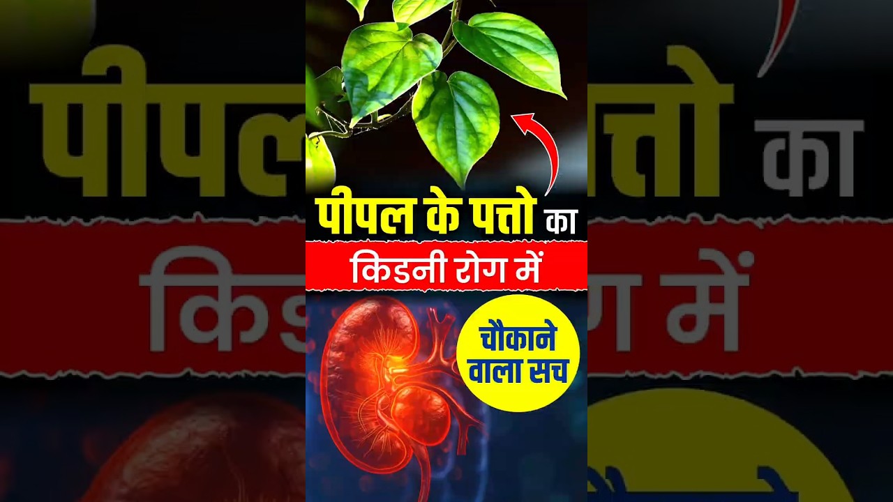 😱पीपल के पत्तों का किडनी रोग में चौकाने वाला सच🌿| Kidney Treatment | KRM Ayurveda | 
