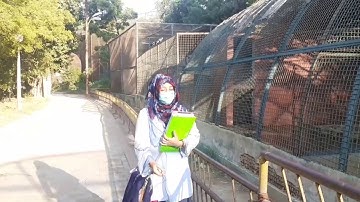 Metropolitan School Nov Class 1 Science Lesson