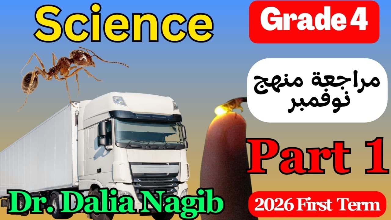 مراجعة شهر نوفمبر ساينس رابعة ابتدائى  ترم اول  𝟐𝟎𝟐𝟔 𝐒𝐜𝐢𝐞𝐧𝐜𝐞  𝐆𝐫𝐚𝐝𝐞 𝟒 𝐍𝐨𝐯𝐞𝐦𝐛𝐞𝐫 𝐑𝐞𝐯𝐢𝐬𝐢𝐨𝐧 𝐏𝐚𝐫𝐭 𝟏