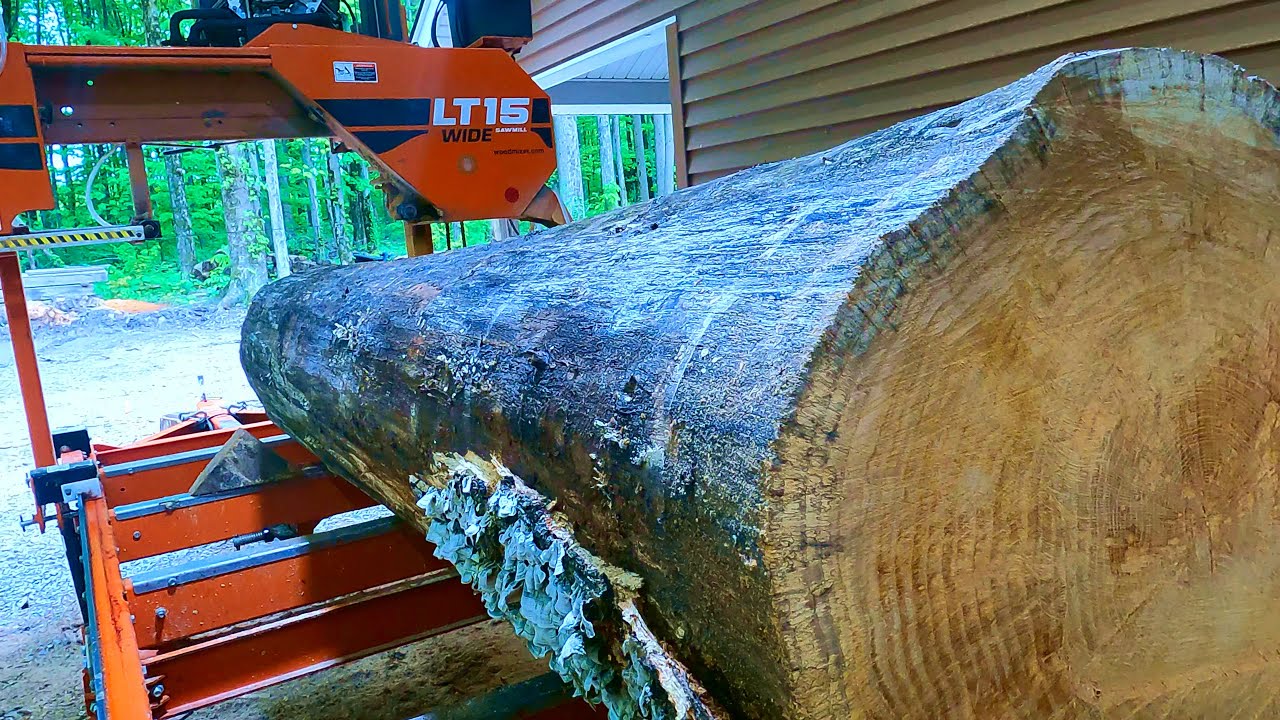 Turning a Massive Red Oak Log into Beautiful Lumber!