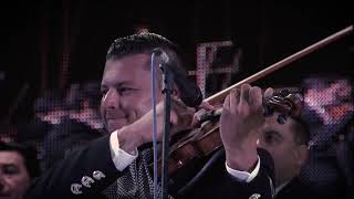 VIOLÍN HUAPANGO/ENSAMBLE (Tecalitlán los Sones 2019)