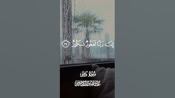 وقالُوا الْحَمْدُ لِلَّهِ الَّذِي أَذْهَبَ عَنَّا الْحَزَنَ #سورة_فاطر#ناصر_القطامي #القرآن_الكريم