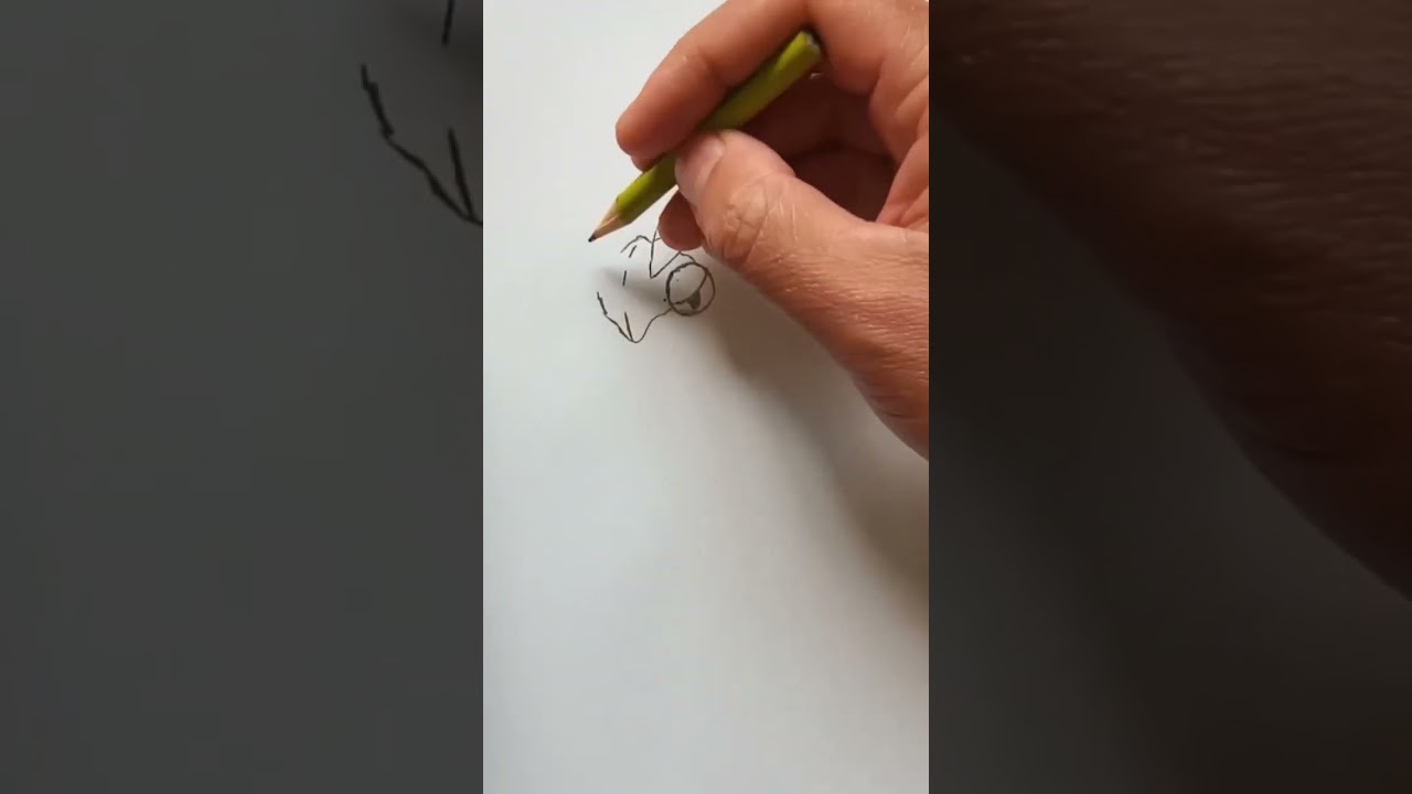 COMO DESENHAR O POKÉMON VENIPEDE 