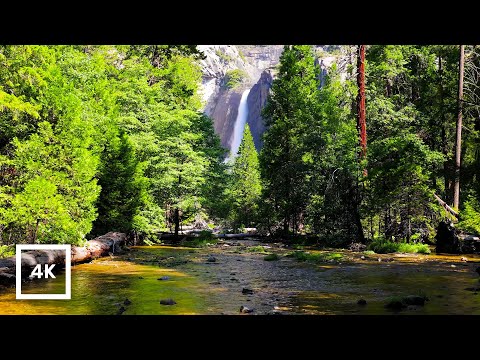 Yosemite Merced River Falls Ambience Relaxing Water Sounds for Sleeping Focus 4K HDR Nature
