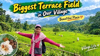 Visiting Biggest Terrace Field in our Village/ Young mom / Dailyvillagelife