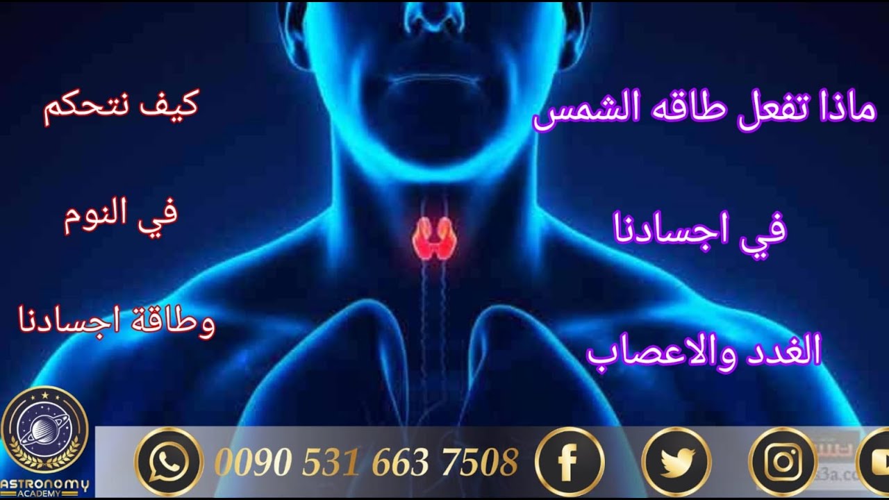 الغدد والاعصاب طاقة الشمس والقمر