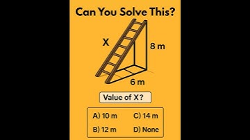 Can You Solve This Tricky Ladder Puzzle? Only Geniuses Can! 🤯 #Brainies