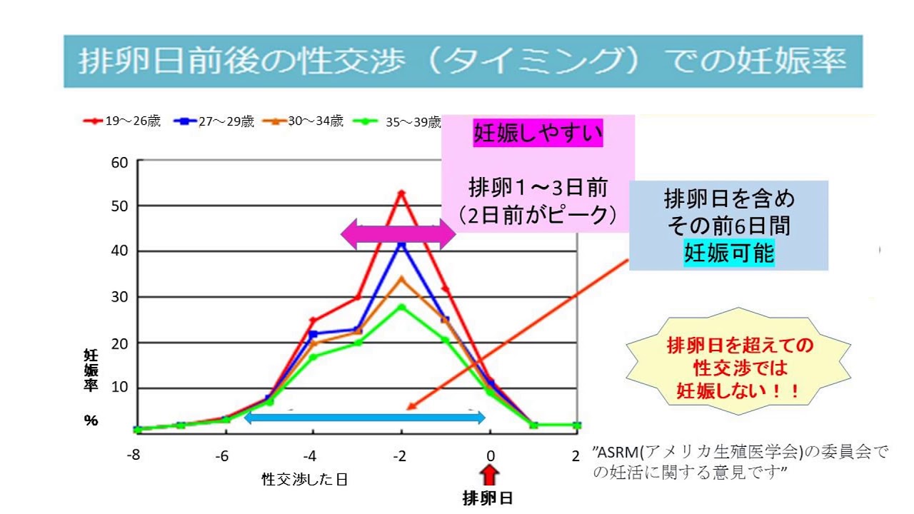 排卵日周辺の妊娠率 よくあるご質問 徐クリニック