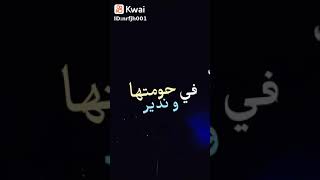 بحبك اوي اوي