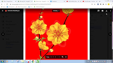 Chia Sẻ File Miễn Phí Quảng Cáo In Ấn ( Nhành Mai - Nhành Đào - Cành Cây ) Lắp Ghép Khi Sử Dụng