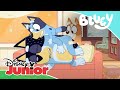 Bluey: ¡Los cangrejos de las cosquillas! | Disney Junior Oficial