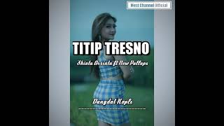 TITIP TRESNO Shinta Arsinta ft New Pallapa|