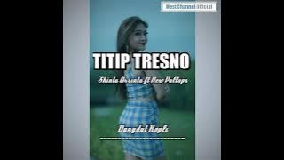 TITIP TRESNO Shinta Arsinta ft New Pallapa || Lirik