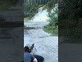 Tannerite tire launch
