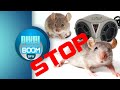 2HRS Anti Mouse & Rat Ultra Sonic Sound Mice Ultrasonic Repellent