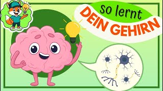 Wie Lernt Das Gehirn Wachstumsdenken Kindern Erklärt