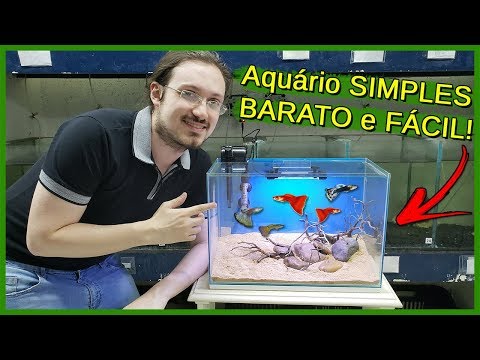 Vídeo: Como Montar Um Aquário