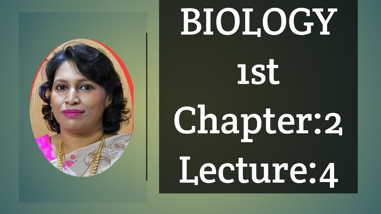 Class 11B.MChapter 2Lecture 4 YouTube
