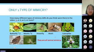 Insight into Animal Mimicry