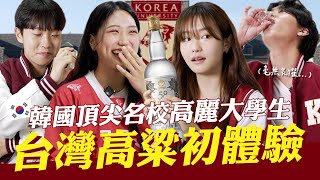 韓國學霸也超會喝名校高麗大的學生們首次體驗台灣高粱酒直接賭上名譽輕鬆征服韓國女生咪蕾