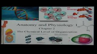 Anatomy and Physiology Help: Chapter 2 Anatomy I Basic Chemistry and Biochemistry Review