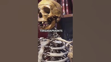 Quran Knew Fingerprints 1400 Years Ago! 😱 | Science Confirms It Now!