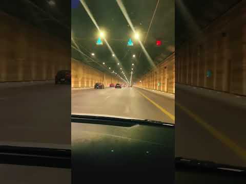 بحبو يابابا