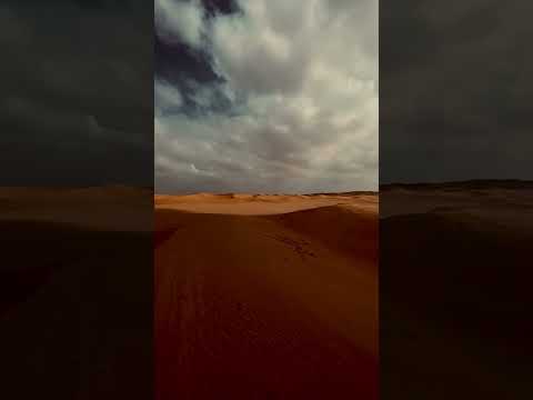 تمشينا والارض غيوم