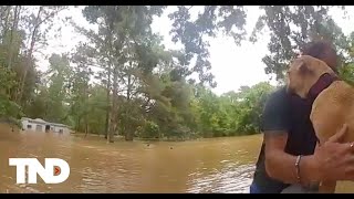 Houston Police rescue man and his 3 dogs on jet ski
