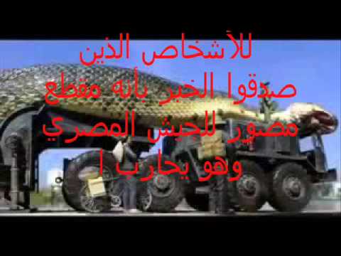 حقيقة أكبر ثعبان قناة السويس الذي قتله الجيش بالدبابات Youtube