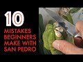 10 Mistakes Beginners Make With San Pedro Cactus